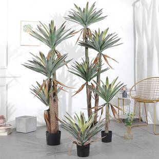 仿真龙兰剑麻盆栽热摆带植物商场装HWC饰植件龙血舌树绿造景观龙