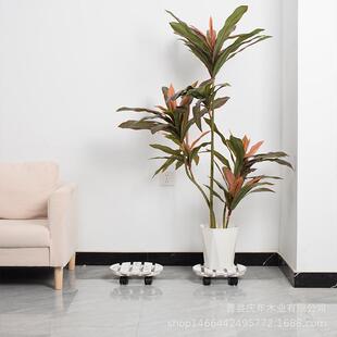 货实木万向轮花盆架盘现底座托可盆移动小凳子木质圆形q1025花托