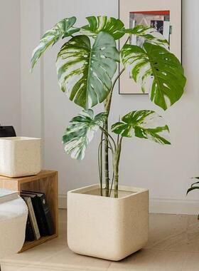 正号方形镁绿泥水泥花盆北欧大FS02径简约方盆龙血树龟口背竹植盆