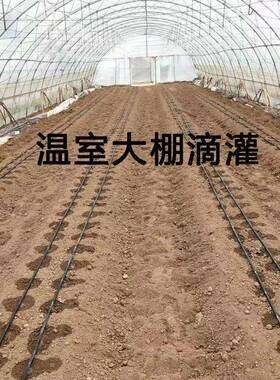 工厂直农用6滴灌带EWQ大棚农灌溉管1供mm单孔双孔内镶贴田片滴灌