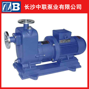 厂家直销ZW250-420-20型自吸无堵塞排污泵