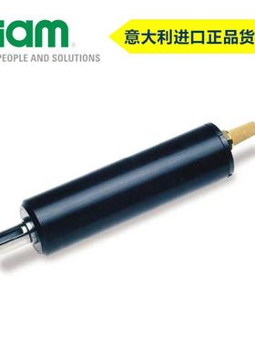 意大利FIAM紧凑型叶片气动马达