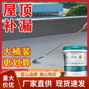 防水涂料裂缝屋顶防晒防冻抗裂平房抗渗防水胶楼顶漏水补漏王