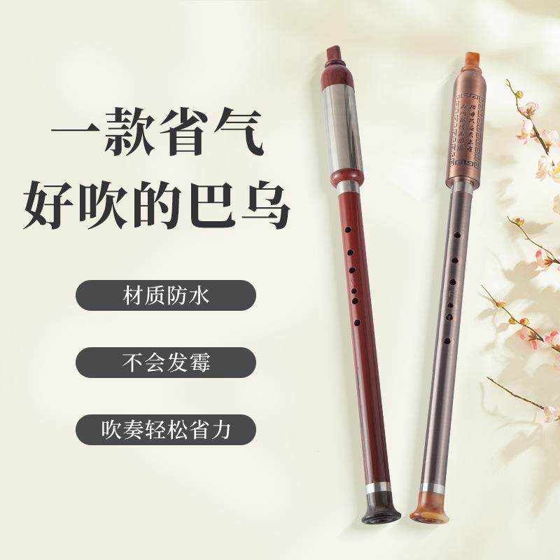 竖吹树脂巴乌儿童小学生成人初学者入门级F调G调吹奏乐器