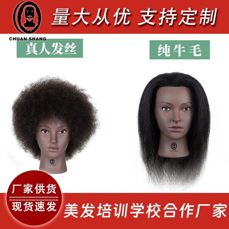 川上非洲脸型全真人发头模美发学徒修剪编发接发练习羊毛卷模特头