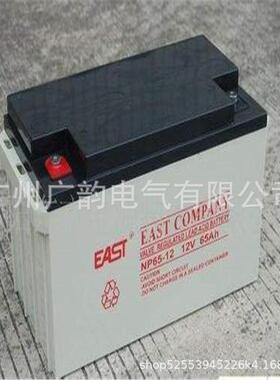 东莞易特蓄电池N10事A0-12P免维护铅酸蓄电池12V100H直流屏51备用