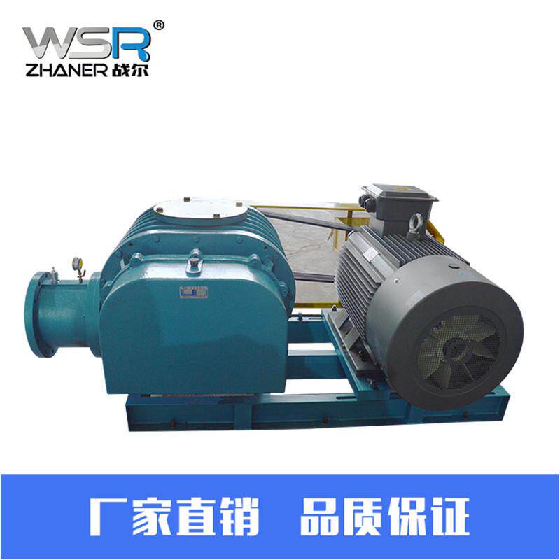 A进口配件罗茨风机罗茨鼓风机污水处理除尘反吹用罗茨鼓风机