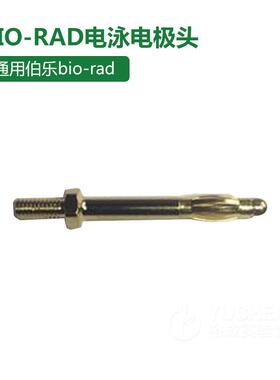 通用BIO-RAD伯乐/天能电泳电泳电极头电泳槽电极头转膜电极头配件