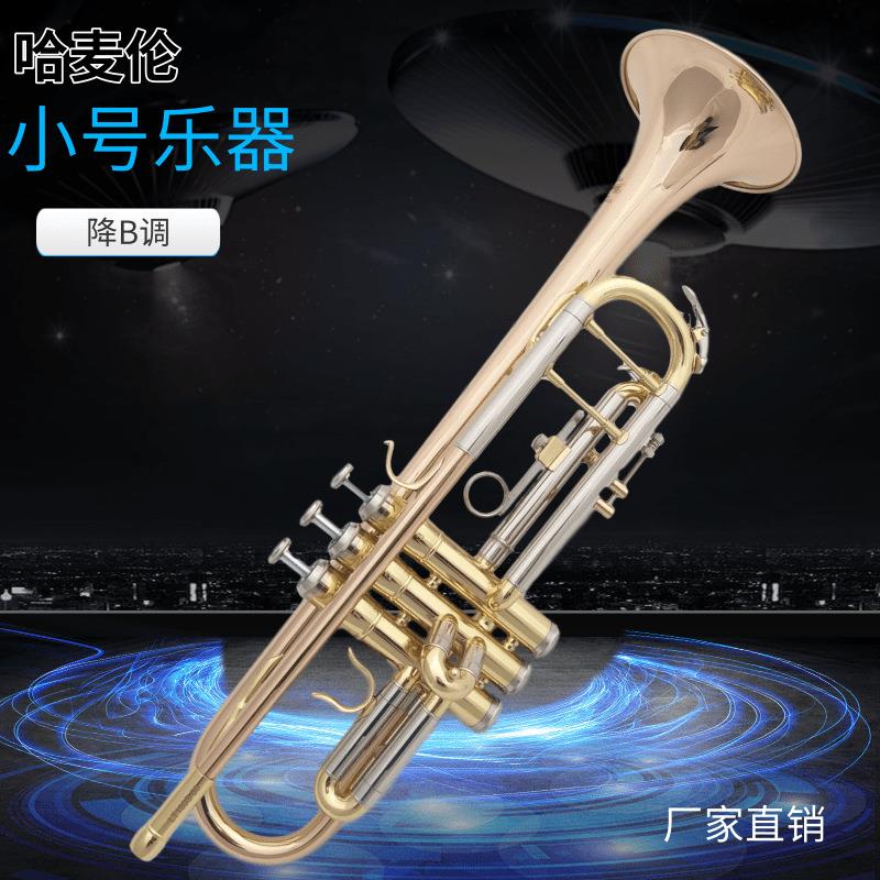 哈麦伦小号乐器玫瑰铜材质降B调好吹省力易发音送加重号嘴