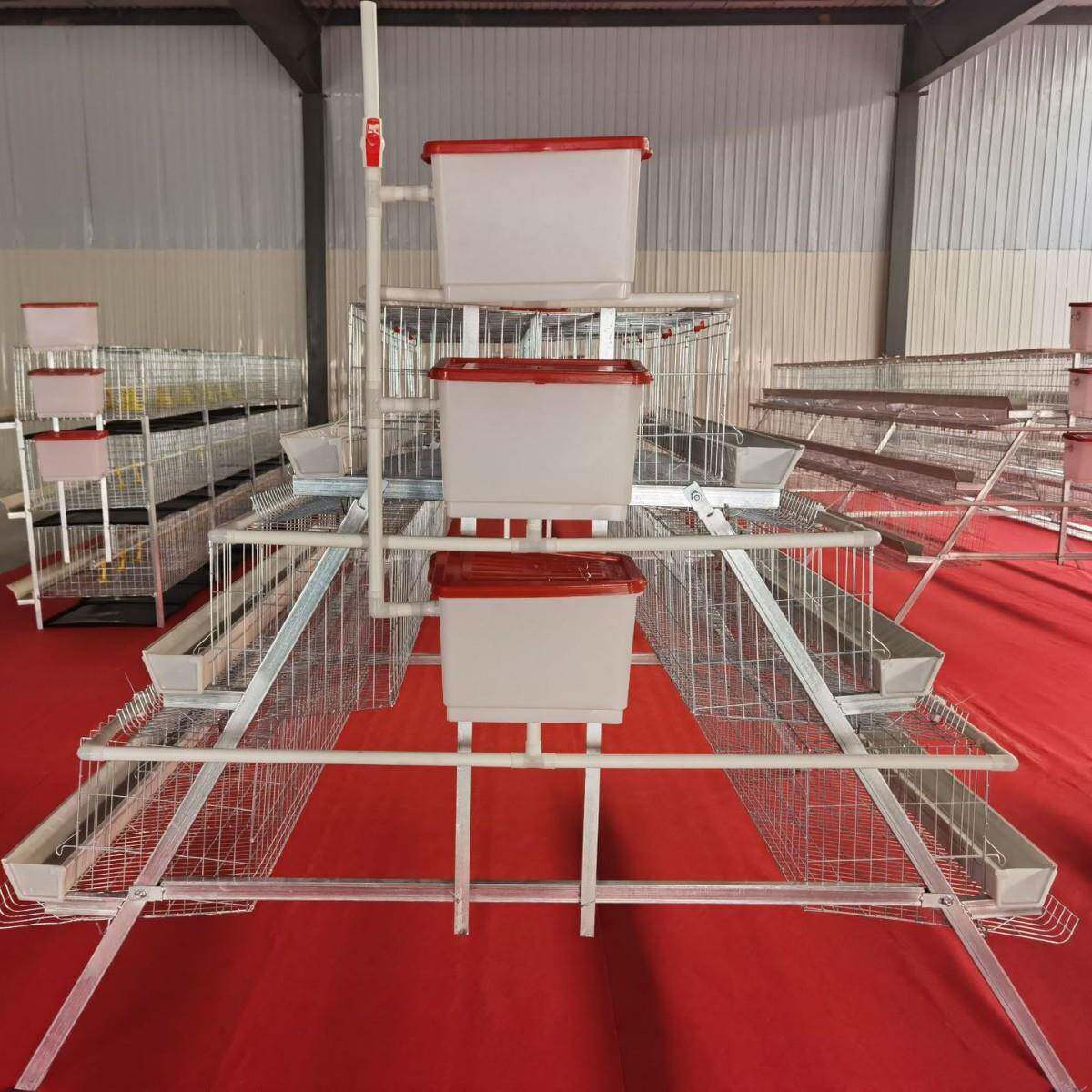 层叠式H型鸡笼鸽子鹌QPF鹑养锌殖框架蛋具多层热镀A型阶梯鸡笼笼