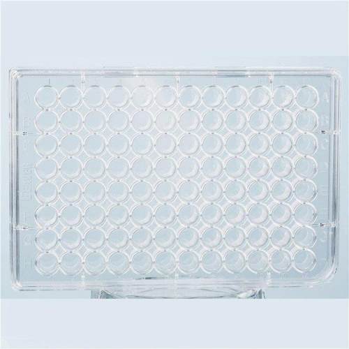 海狸beaverTCT细胞培养板96孔1/包，65块/箱40196