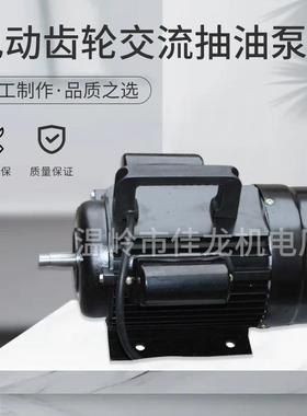 离心泵机油铝合金电动齿轮交流抽油泵WCB75750W