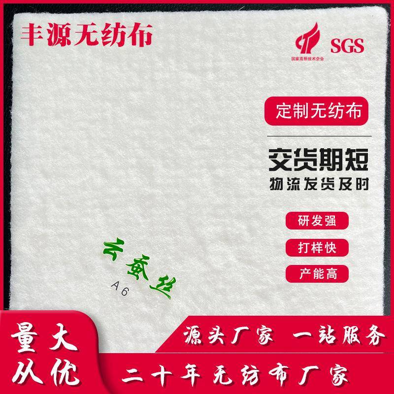 硬垫工厂A6天然云蚕丝打地铺防潮防滑床垫炕垫儿童老人床垫