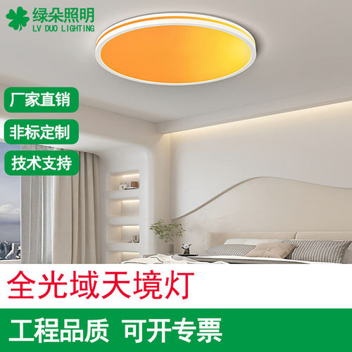 天境灯全光域高显指吸顶灯房间主卧室大全现代简约大气全光谱护眼