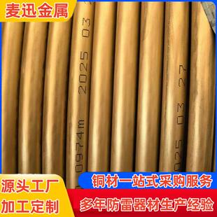 路基接地线分支引接线贯通地线SDH70合金护套贯通地线