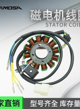 适于Italika磁电机线圈定子EX200 RT200 EX 200 EST-009 配件