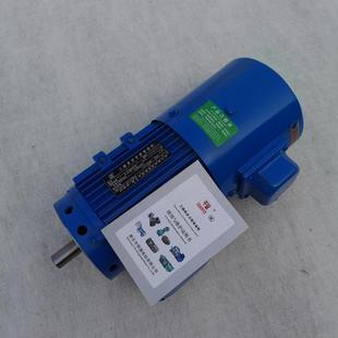 千业牌力矩电机B14连接法兰B34特殊连接力矩电动机选型