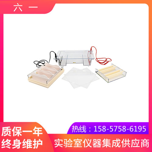 北京六一DYCP-31E型琼脂糖水平电泳仪(中号)