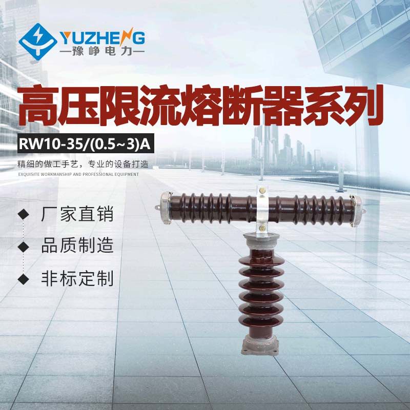 RXWORW10-35RW9RXWO-35KV高压限流熔断器0.1A2A3A-1保险丝