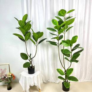 北欧仿生绿植仿真高山榕橡胶榕琴叶榕室内家居客厅落地装饰盆景