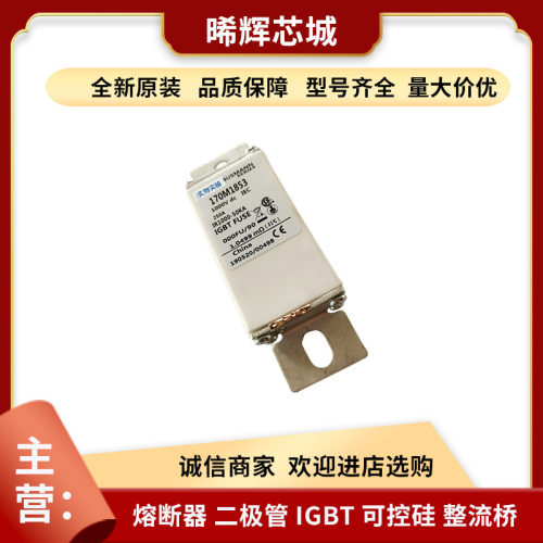 170M1853 170H0069电子元器件 库存充足 BUSSMANN快速熔断器现货