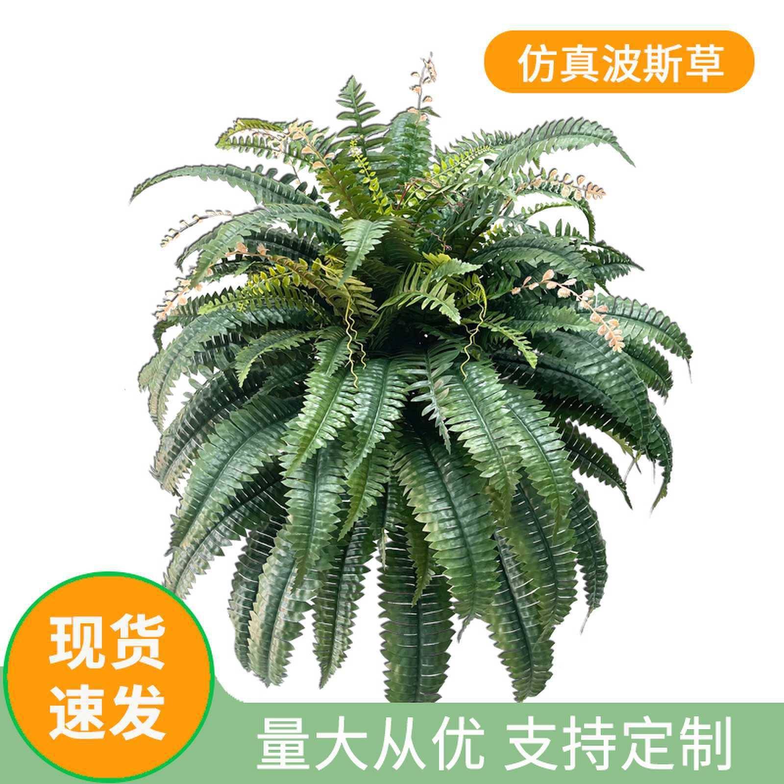 仿真波斯草人造蕨草客厅室内植物角装饰摆件蕨类绿植假波草盆栽