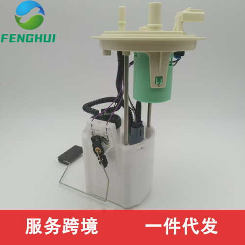 PFS12909H307-EPS-987FL1Z9H307-CFL1Z适用于福特燃油泵总成