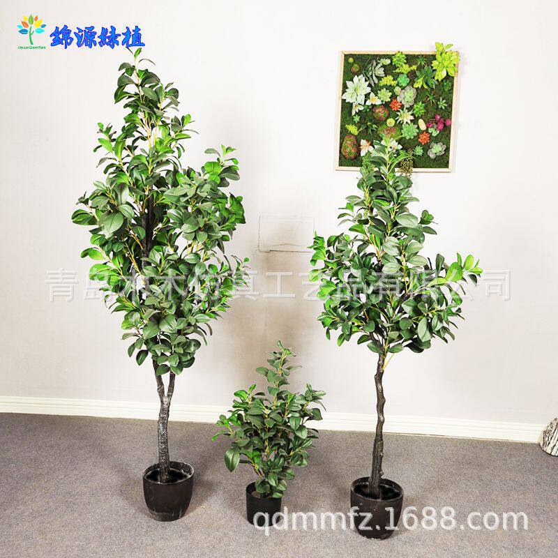 【批发】仿真豆瓣树室内落地家居装饰豆瓣叶植物盆景手感胶叶假树
