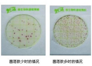 菌落总数测试片