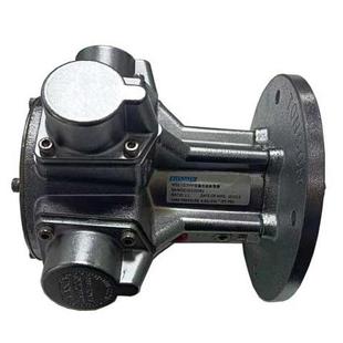 气动马达 活塞式