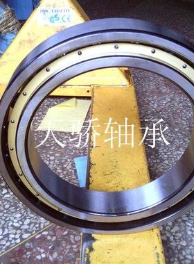 精品国产轴承 6880M 6884M 天骄轴承 TJU