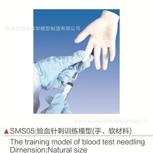 SMS05验血针刺训练模型（手、软材料）