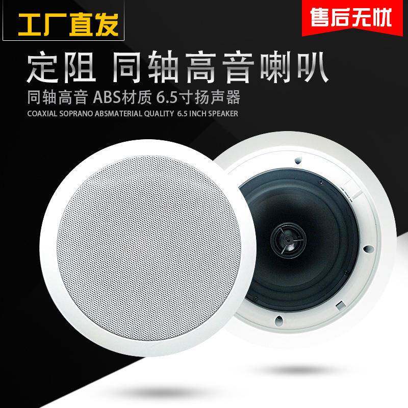 工厂60W定阻无边框吸顶音响同轴高音吸顶喇叭天花板音箱