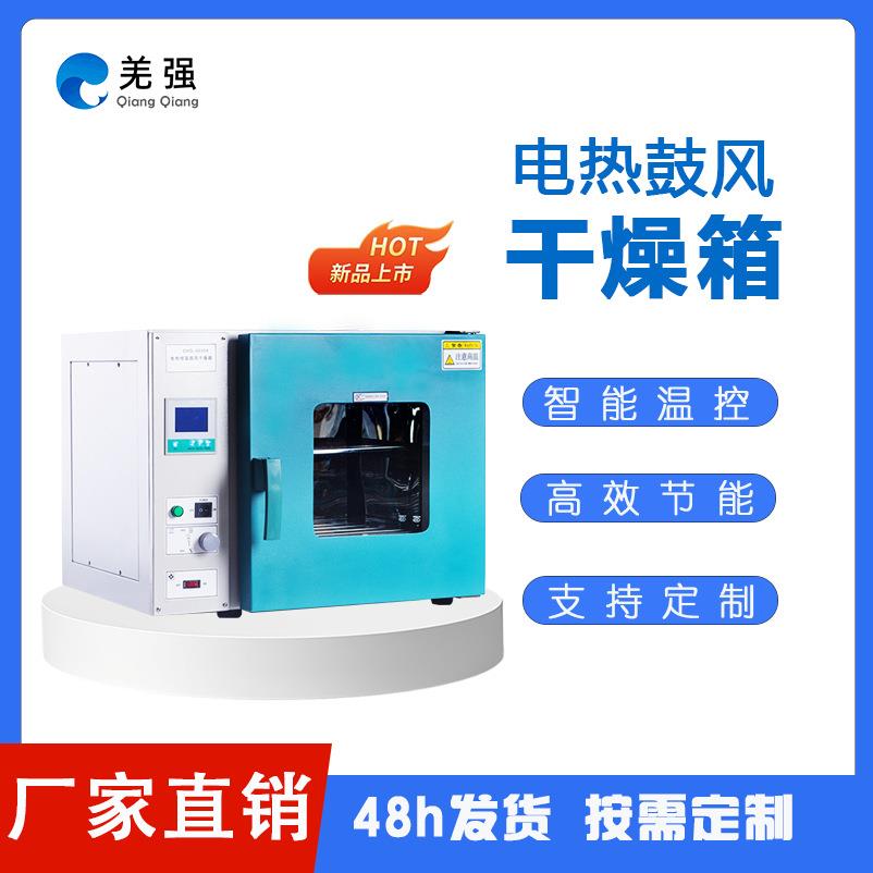电热恒温鼓风干燥箱 DHG-9030A实验室小型烘箱 电热鼓风烘干机