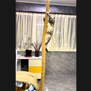 猫爬架顶天立地免打孔猫爬绳实木猫爬通天绳索大型猫绳梯猫跳台