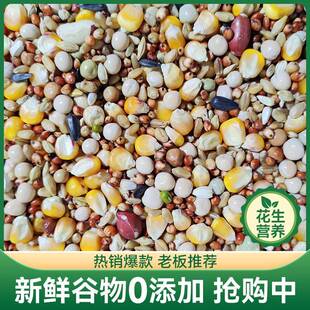鸽粮50斤装玉米赛飞粮良德易营养鸽料赛信观赏肉鸽子粮食鸟食郑之