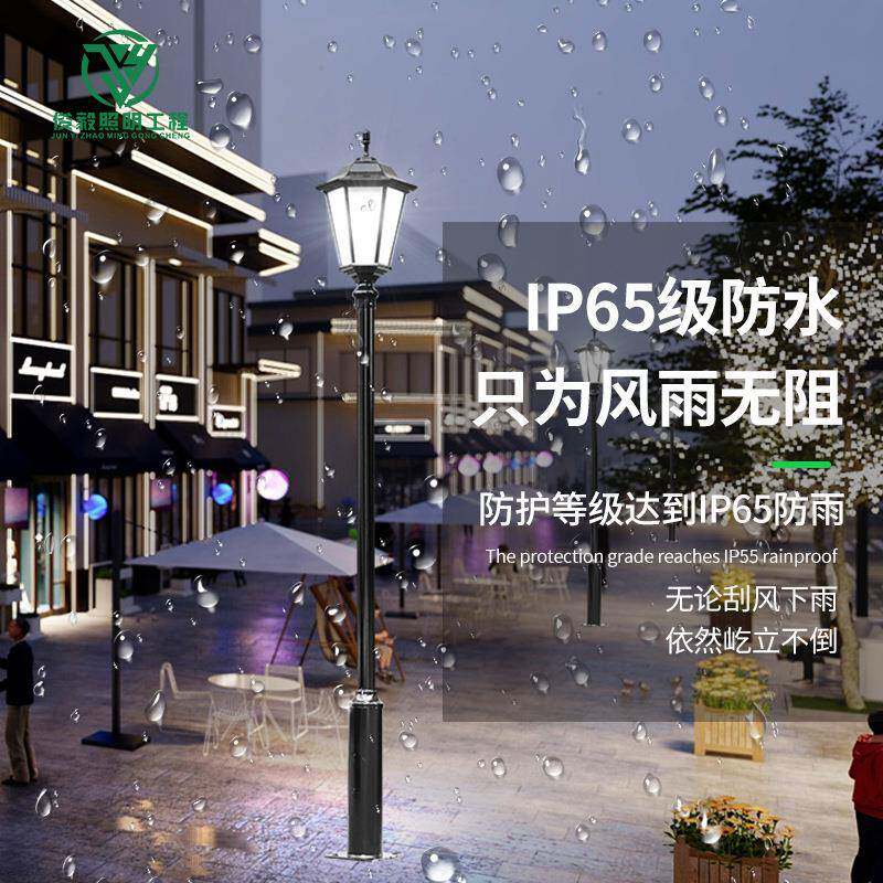 欧式庭院供应户外防水欧式庭灯草小区花园别墅灯坪灯LED高杆院景