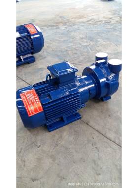 真空泵 厂家直供真空引水水环式真空泵2BV2070 现货