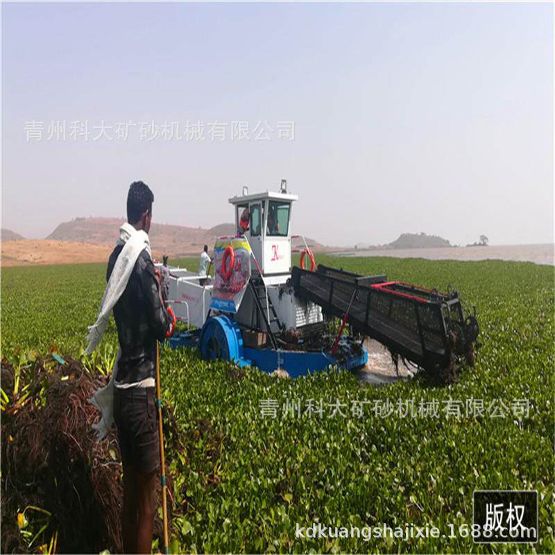 白沙溪水葫芦泛滥打捞船水生植物收割船湖北漂浮物清理机械
