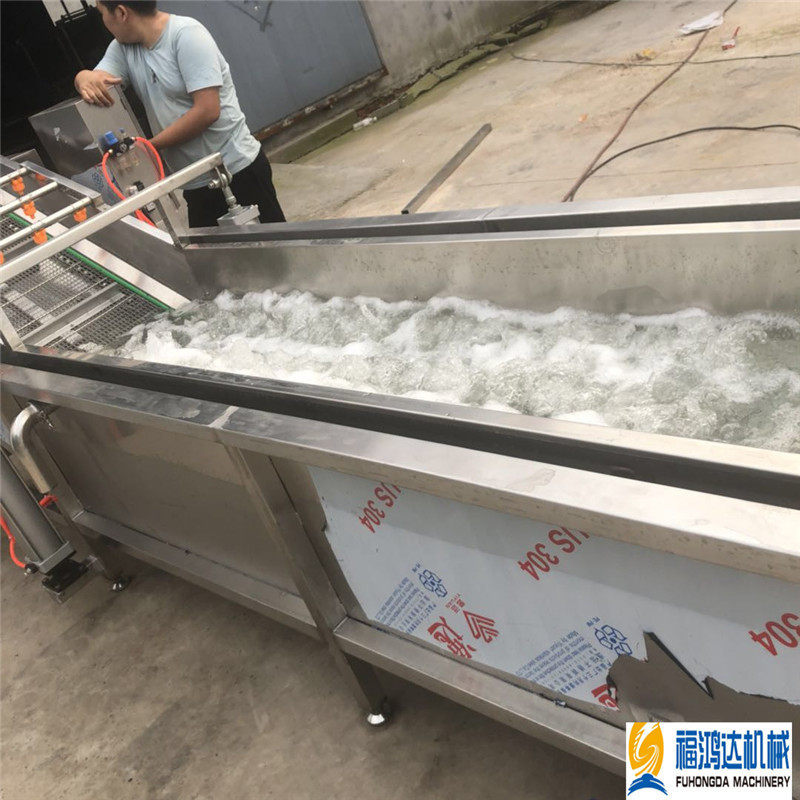玫瑰香葡萄气泡清洗机水浴式清洗水果设备气浪式蔬菜清洗机