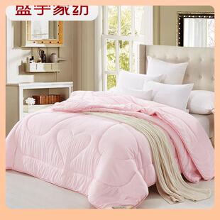 盛宇家纺加厚保暖冬被二合一子母被芯四季通用薄被子春秋冬季双人