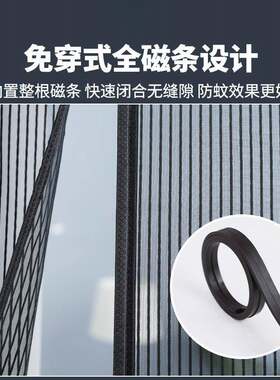纱窗门帘子母门室内侧开防蚊门帘入户门磁性挡风卧室防直销