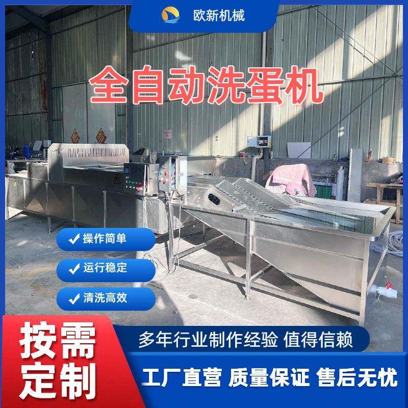商用全自洗动机蛋机鸡蛋鸭蛋清洗大型排禽蛋类单TGY双排三排洗蛋
