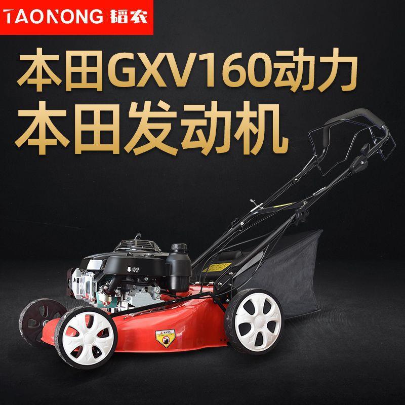 草坪机手推式20寸四冲程汽油自走割草机除草机打草剪草神器推直销