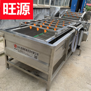 多功能清洗机 苹果深加工设备 全自动气泡清洗机 果蔬气泡清洗线