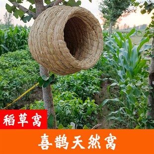 稻草窝鸟窝鸟巢喜鹊户外装饰悬挂式小房子冬季保暖繁殖树上夏用具
