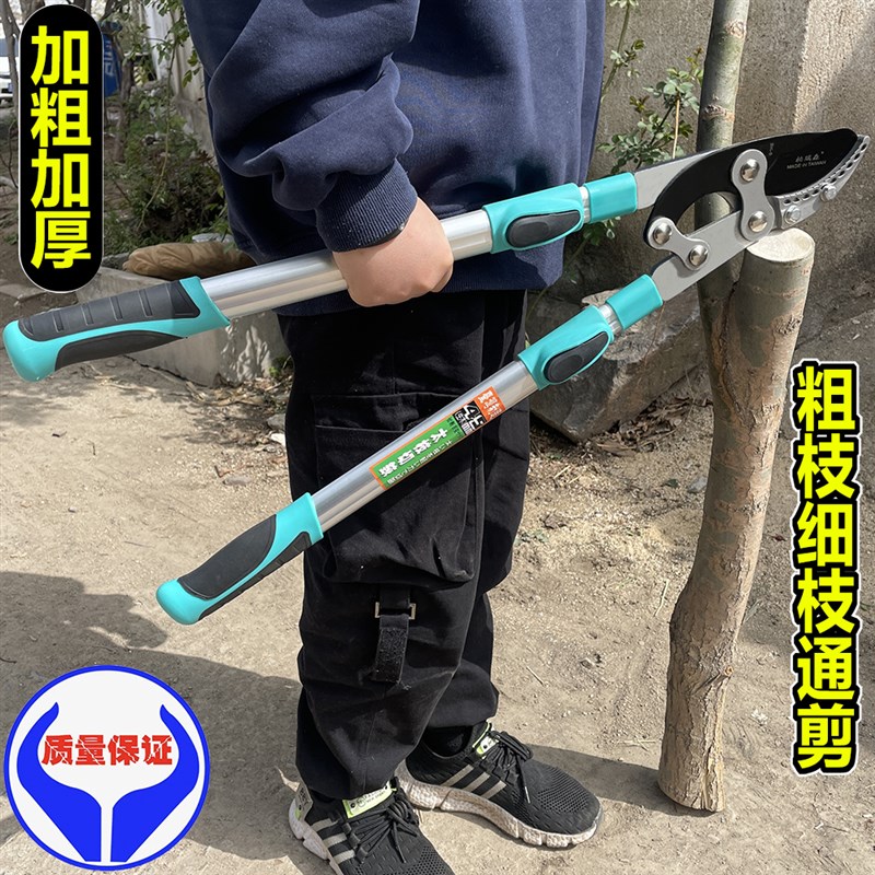 剪树枝专用剪刀粗枝大剪刀果树修枝剪刀大力剪强力树枝剪园林工具