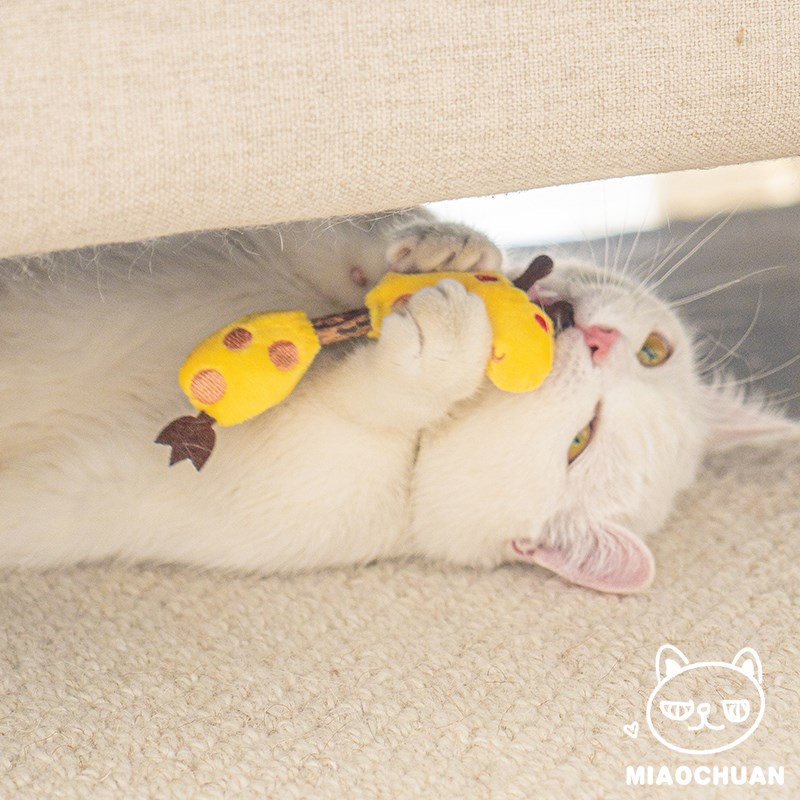喵川铺子猫玩具自嗨解闷木天蓼磨牙棒猫薄荷猫咪用品猫的玩具