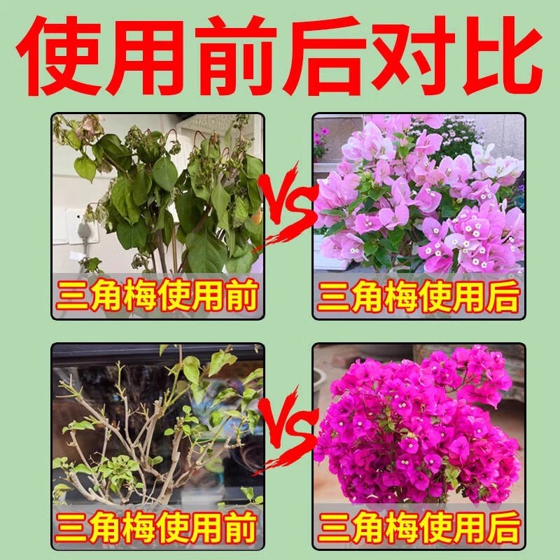 三角梅复活液植物再生营养液枯树烂根黄叶强力生根药水通用复活液