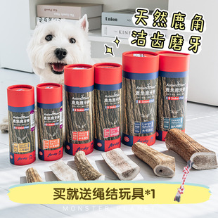 吉辛天然鹿角宠物洁齿狗狗磨牙棒耐咬磨牙骨头零食玩具幼犬小型犬